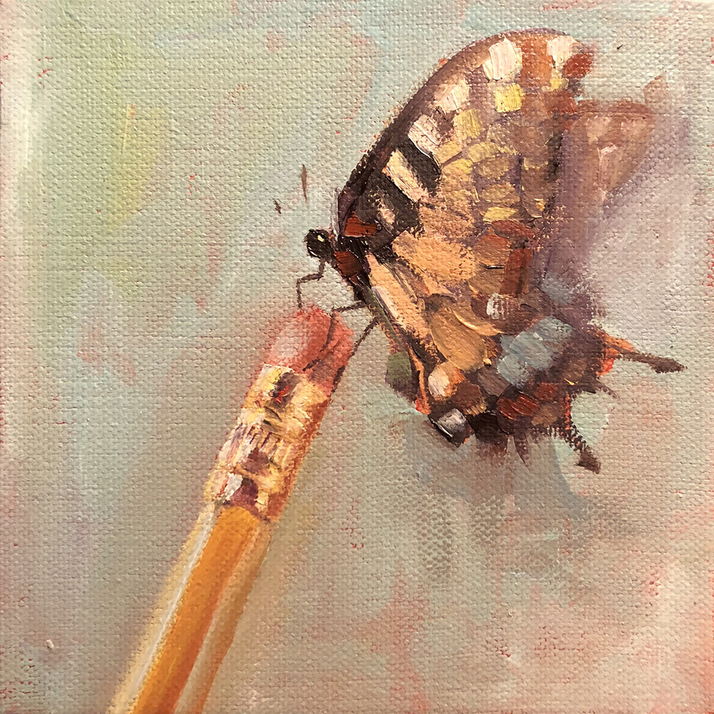quilt square, butterfly on pencil eraser